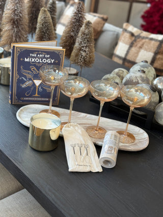 Gift Bundle #1 - Cocktail Party